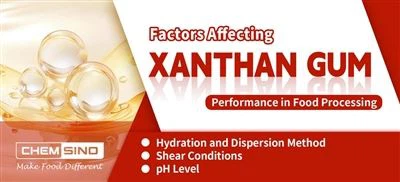 Faktori koji utječu na performanse ksantanske gume u preradi hrane