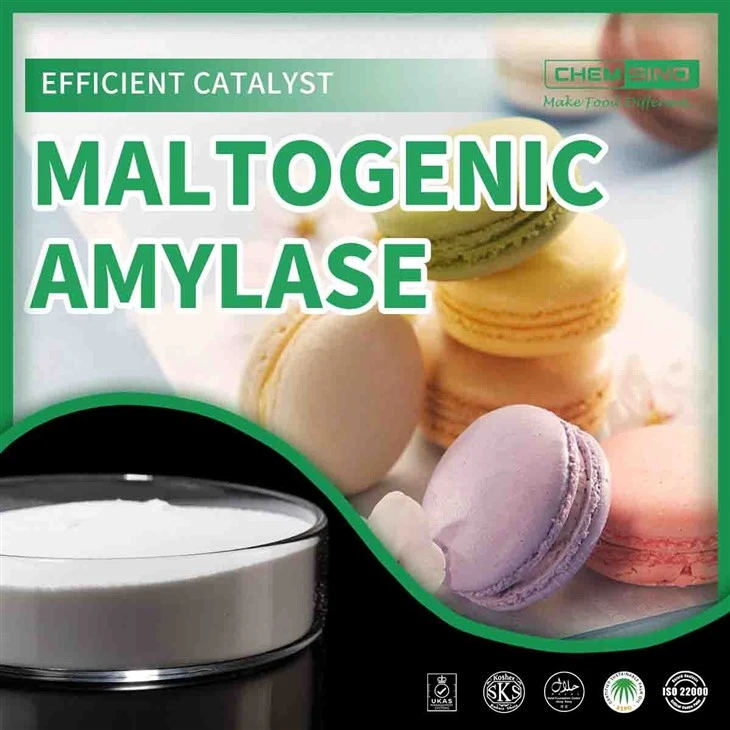 Podignite profile ukusa: prihvatite moć maltogene amilaze.CAS BR. 9000-92-4