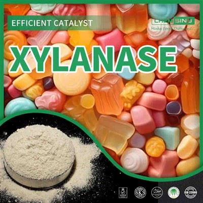 CAS 9025-57-4: Otkrijte Enzim Marvel - oslobođena ksilanaze!